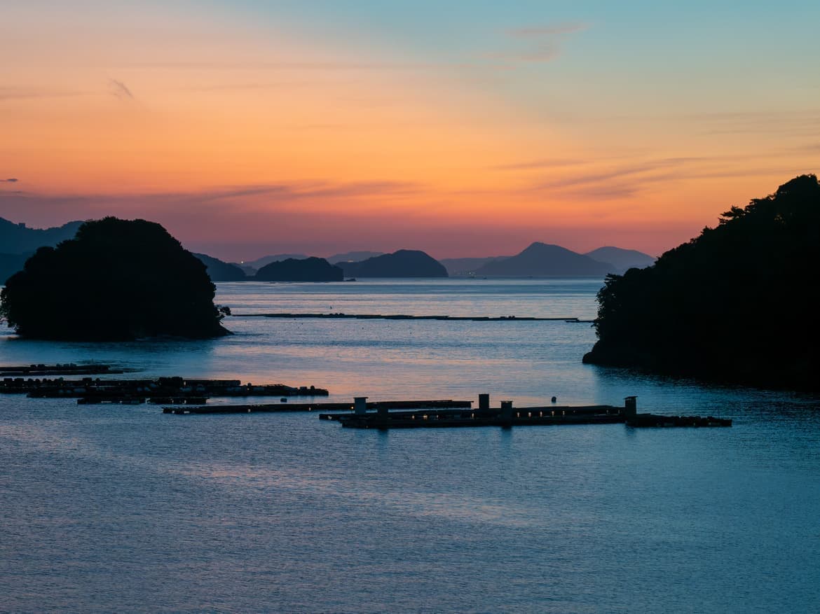 25100908_l.jpg